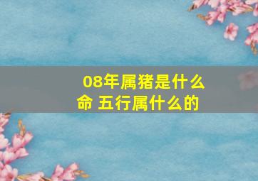 08年属猪是什么命 五行属什么的